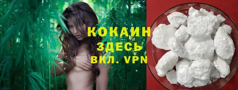 Cocaine VHQ  как найти наркотики  Валдай 