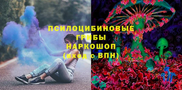 МДПВ Армянск