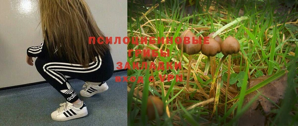 ешки Арсеньев